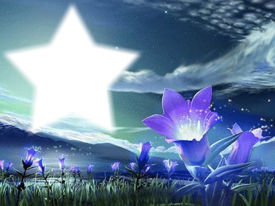 Fleur d'étoile Fotomontage