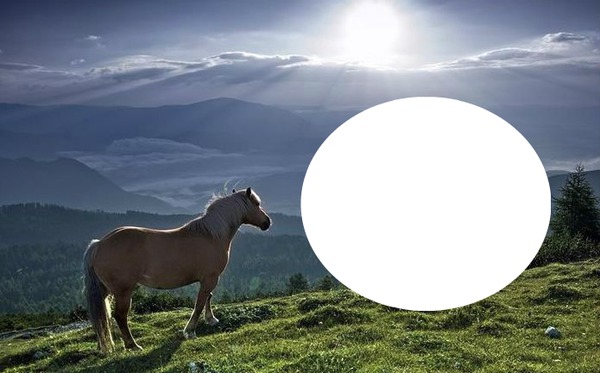 paisaje con caballo Montaje fotografico