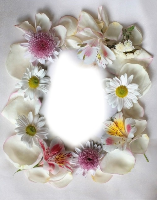 flowers frame Fotomontāža
