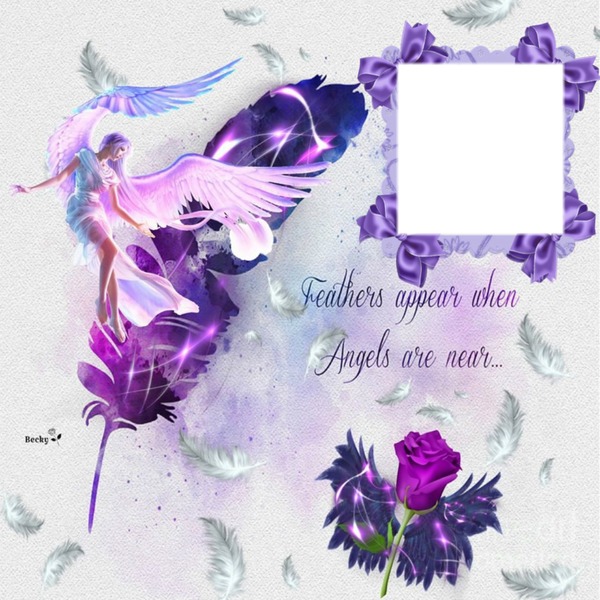 feathers apper Photo frame effect