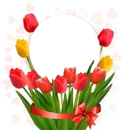 circulo entre tulipanes rojos y amarillos. Fotomontagem