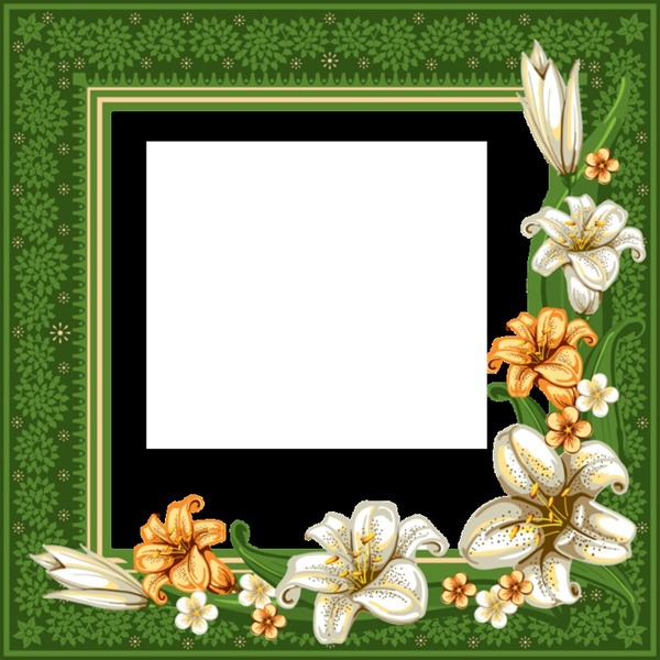 cadre mémorial vert Photo frame effect