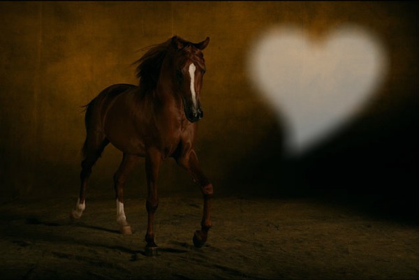 Le cheval, c'est ma vie <3 Fotomontaža
