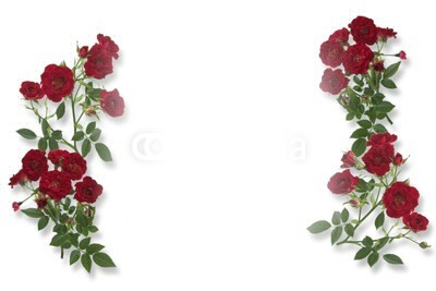 roses Photo frame effect