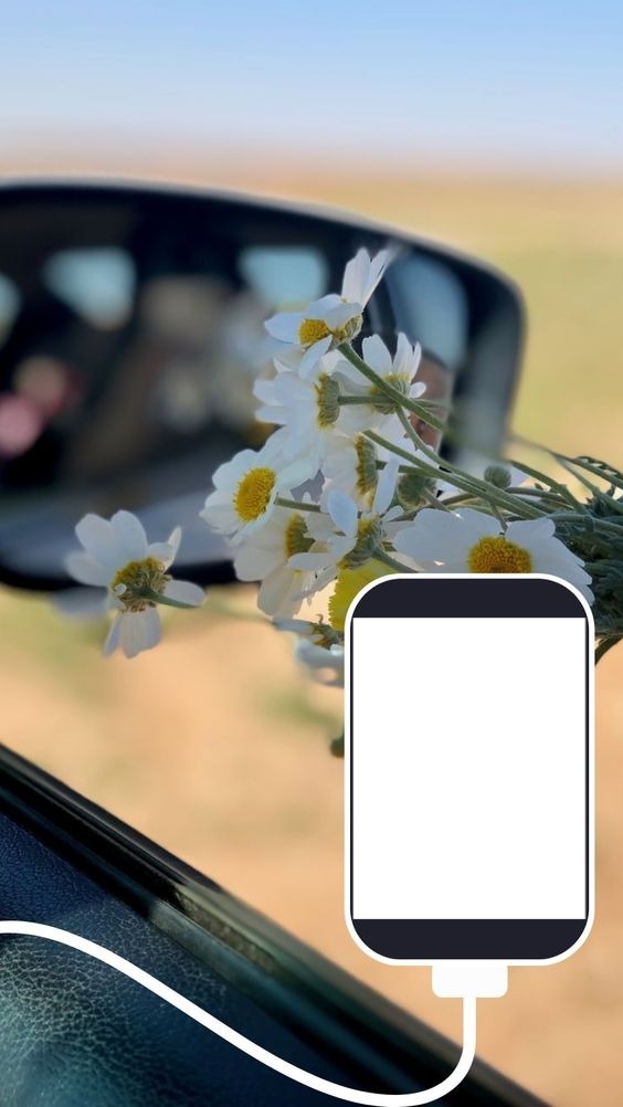 celular y flores. Photo frame effect
