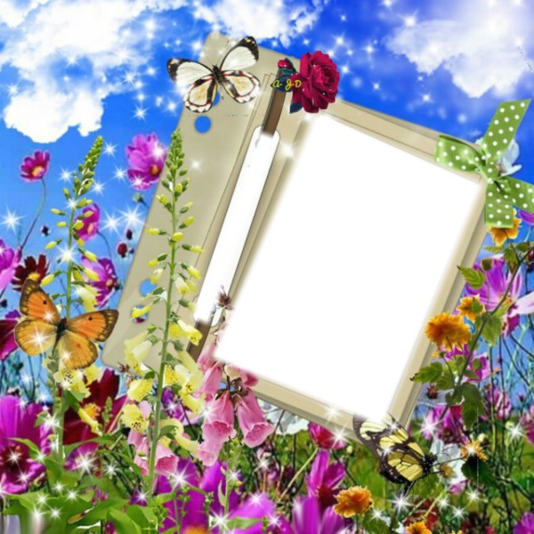 Cadre avec un papilon Photo frame effect