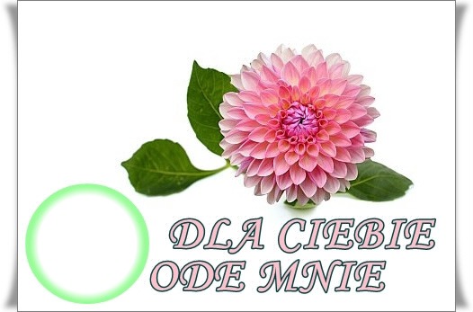 H.M.M. DLA CIEBIE Montage photo