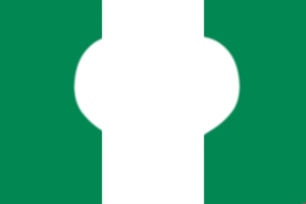 Nigeria flag Photo frame effect