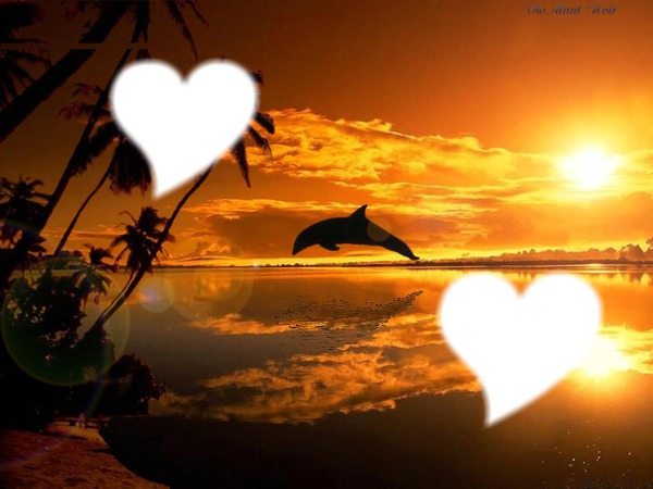 love dauphin Photo frame effect