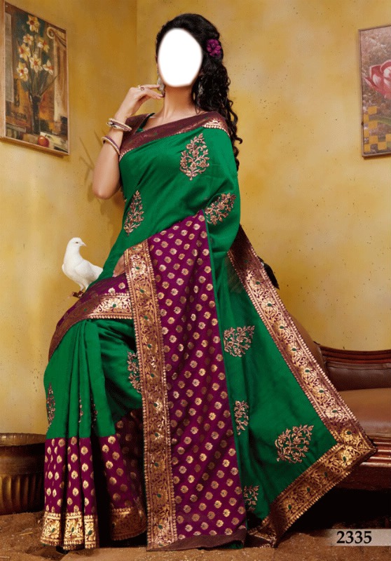 le sari Photo frame effect