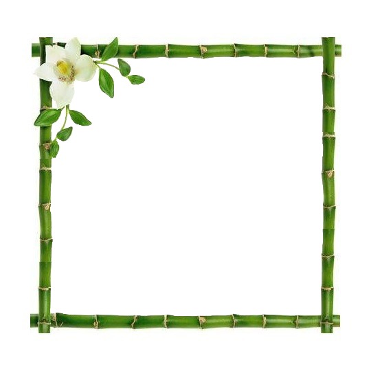 marco de tallos de bambú. Fotomontage