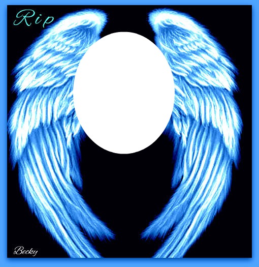 blue wings Photo frame effect