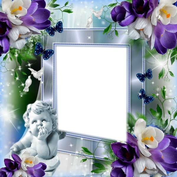 cadre fleurs* Photo frame effect