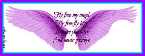 fly free my angel Photo frame effect