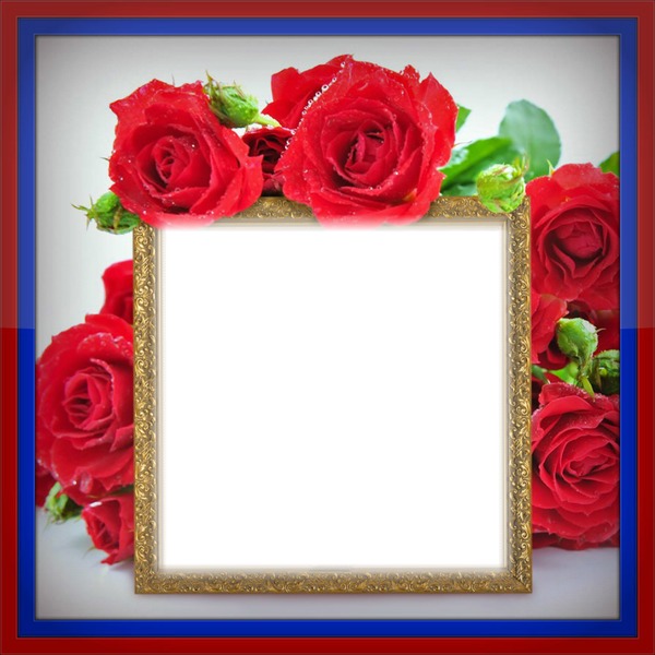 Cadre avec des roses Fotomontage
