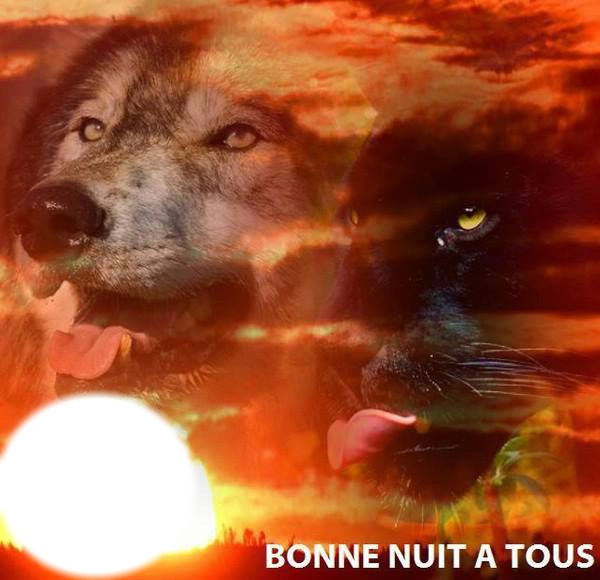loup et panthere Fotomontage