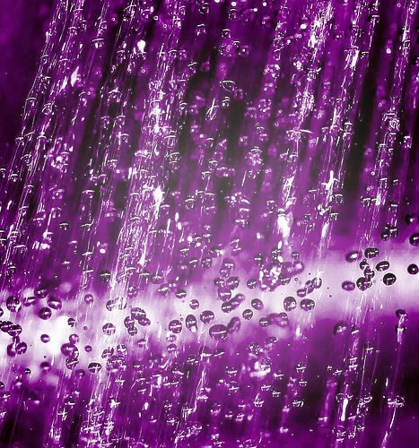 Purple Rain Фотомонтаж