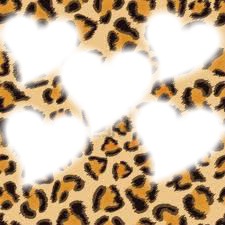 amour leopard Photomontage