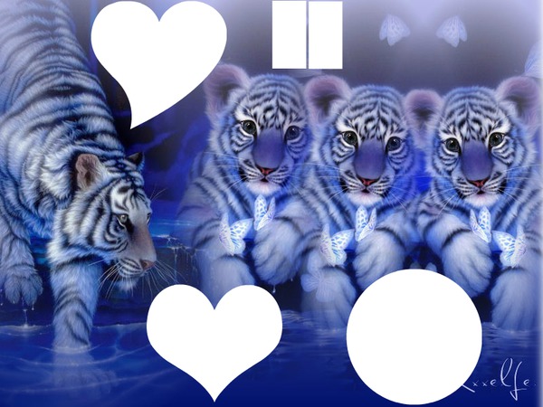 tigre familly Fotomontáž