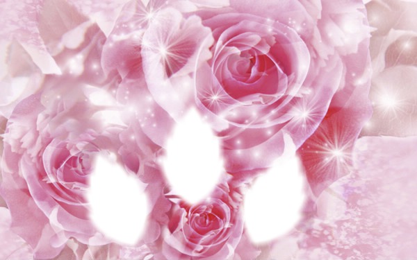 Pink Rose Photo frame effect