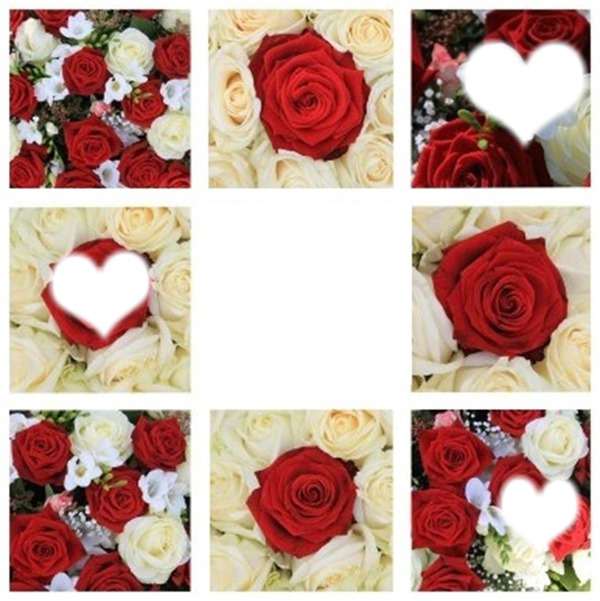 cadre de roses Fotomontage
