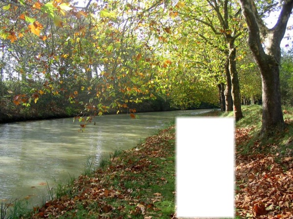 Paysage ( Canal du Midi ) Photomontage