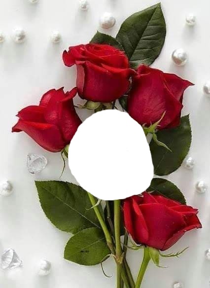 renewilly 4 rosas y foto Fotomontaža