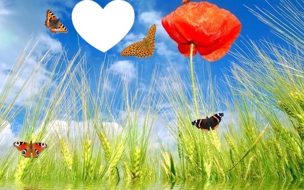 Fleurs- papillons Fotomontáž