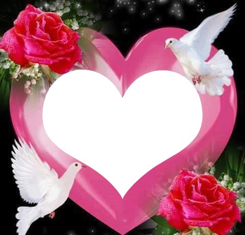 un coeur avec 2 colombes et 2 roses 1 photo Фотомонтажа