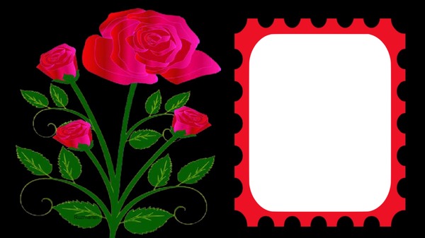 CUADROS CON FLORES Photo frame effect