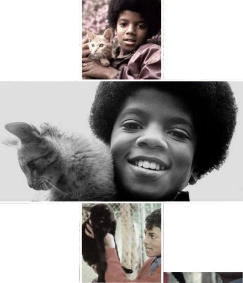 Mchael and Cat <3 Photomontage