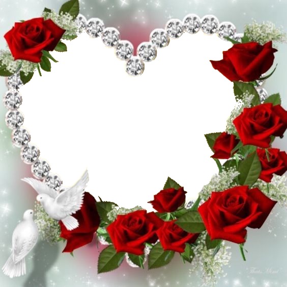 corazón y rosas rojas y palomas. Fotoğraf editörü
