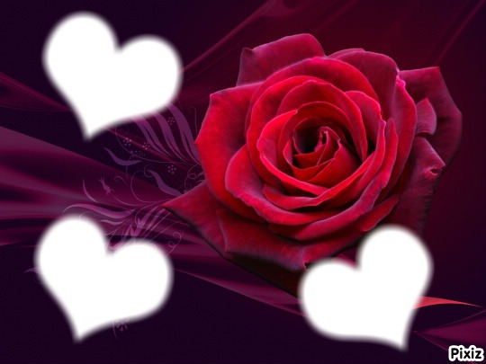 les rose rouge montre l'amour Photomontage