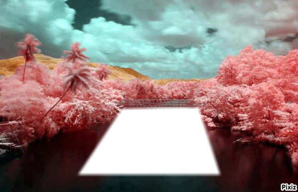 the pink bridge Fotomontage