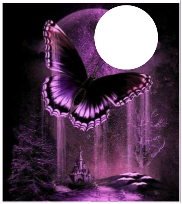 butterfly Photomontage