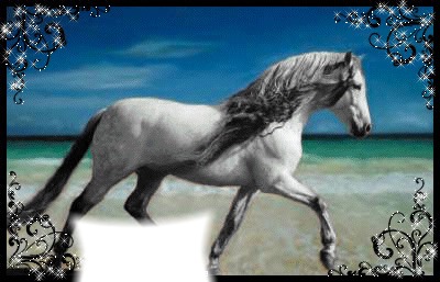 cheval magnifique Photomontage
