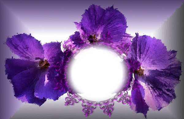 Cadre purple Fotoğraf editörü