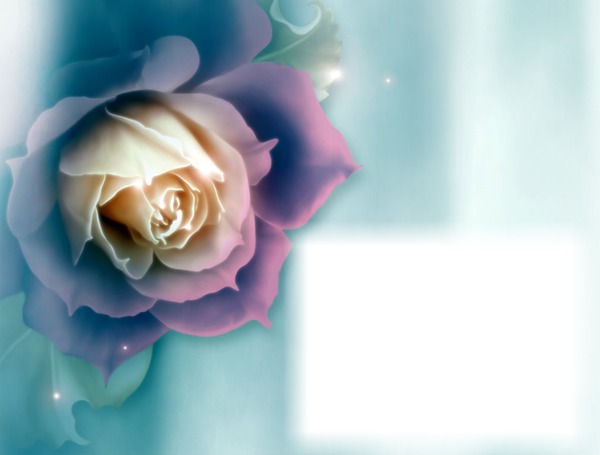 Rose-fond bleu Montaje fotografico