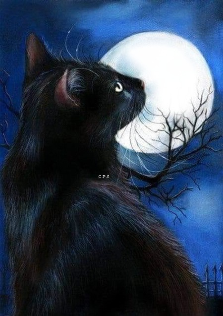 Cc Gato y la luna Fotomontáž