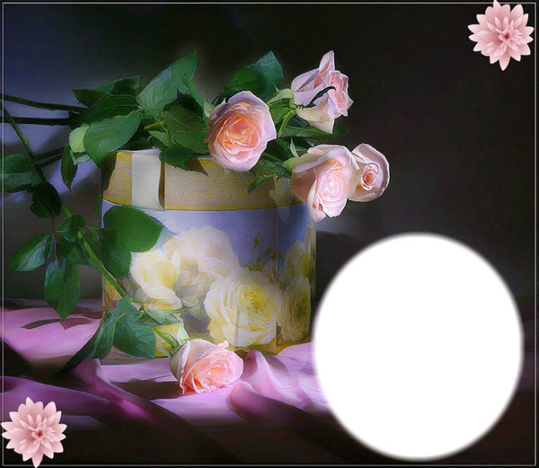 Rose tendresse/* Photomontage