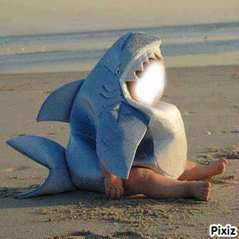 requin Photo frame effect