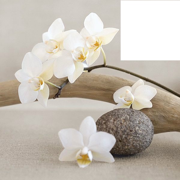 Orchidée Fotomontaż