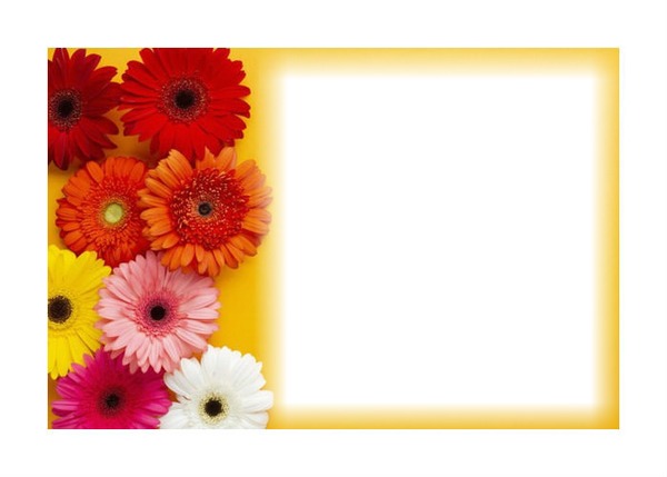 frame flowers Fotomontáž