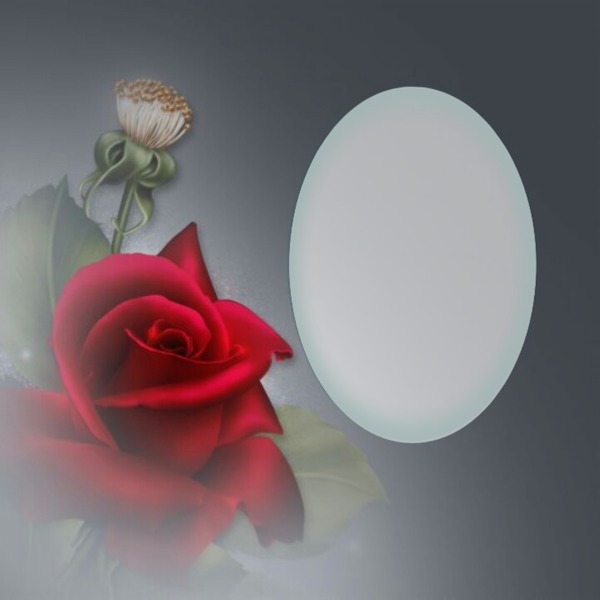 rosa en neblina, marco oval, 1 foto Fotomontāža