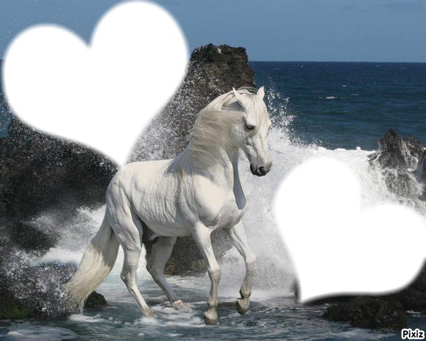 cheval coeur Фотомонтажа
