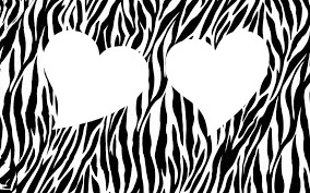 Zebra heart Montaje fotografico