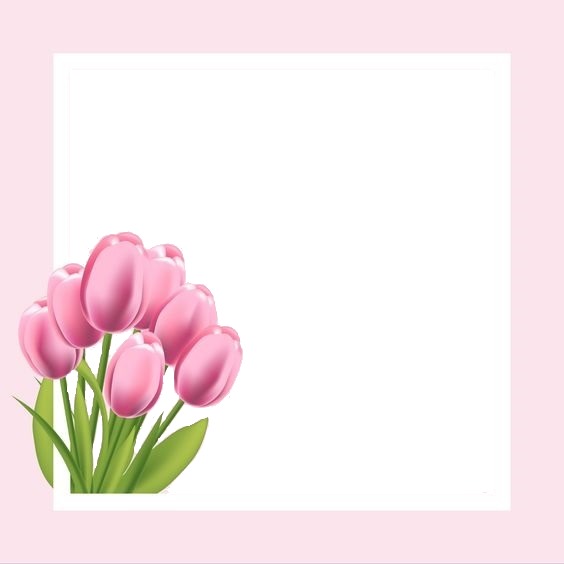 marco y tulipanes rosados. Fotomontaż