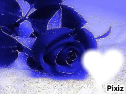 rose bleu Valokuvamontaasi