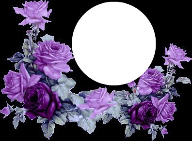 noir violet2 Photo frame effect