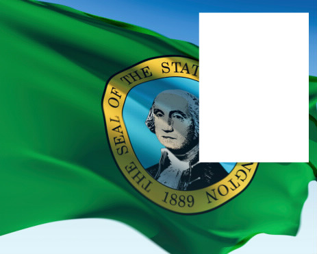Washington Flag Photo frame effect